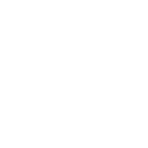 AUDI Service
