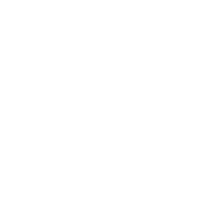 Škoda Service