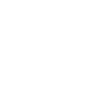 VW Service Logo